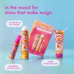 everyday magic | bestsellers set - Image 2