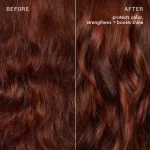 the protector | color protect + strengthen conditioner - Image 5