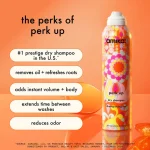 soften + refresh duo | perk up dry shampoo + soulstruck mask set - Image 7