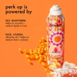 perk up | dry shampoo - Image 4