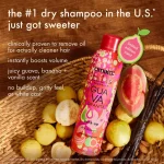 beach day besties | dry shampoo duo - Image 2