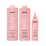 super-sized shine set | mirrorball high shine + protect antioxidant shampoo + conditioner + flash mask