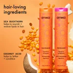 soft strand stars | nourishing wash + care set - Image 3