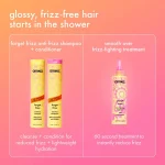 forget frizz | anti-frizz shampoo - Image 8