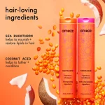 normcore | signature shampoo - Image 4