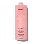 mirrorball | high shine + protect antioxidant conditioner - Image 13