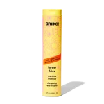 forget frizz | anti-frizz shampoo